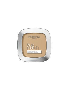 L\'OREAL A TRUE MATCH MUP A5935