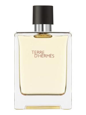 HERMES TERRE D\'HERMES EDT 100ML